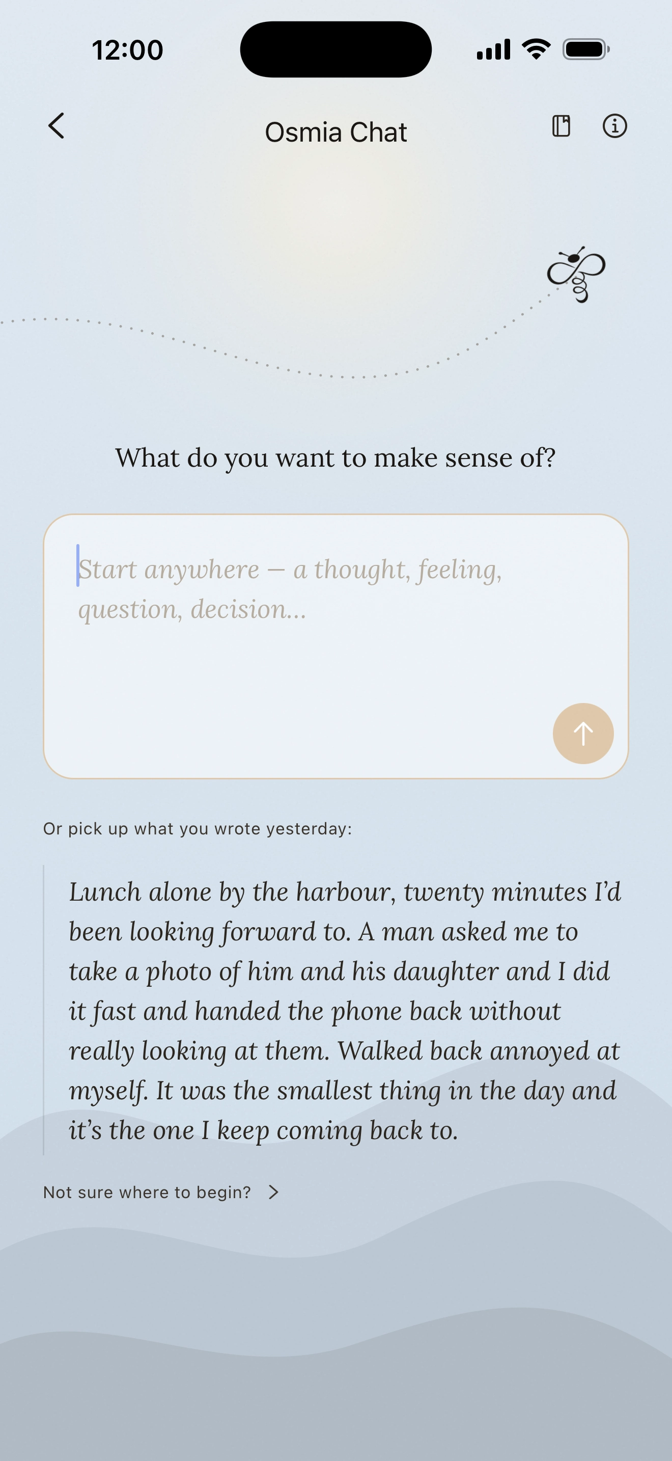 The Osmia Chat screen: the opening question What do you want to make sense of, a place to start writing, and a thought written earlier in the day to pick up again.