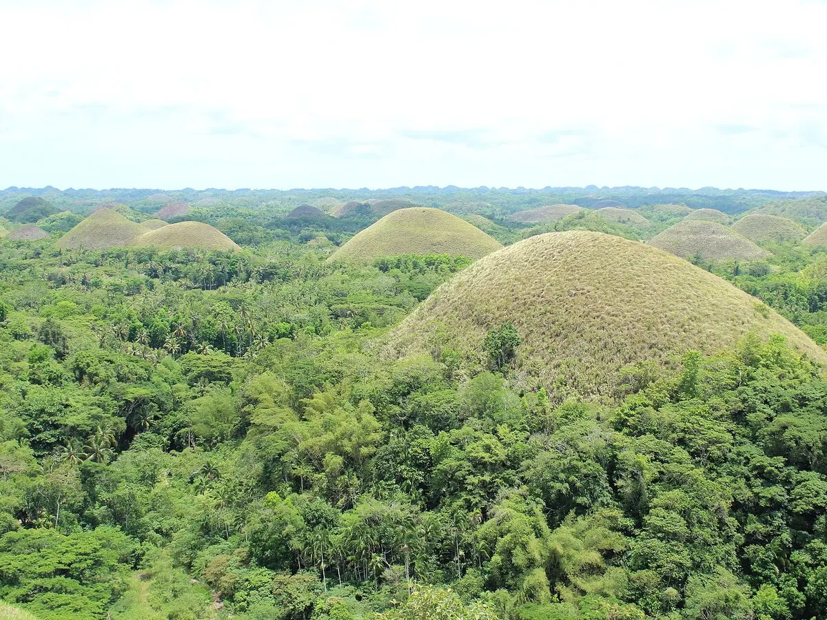 Las Chocolate Hills de Bohol.